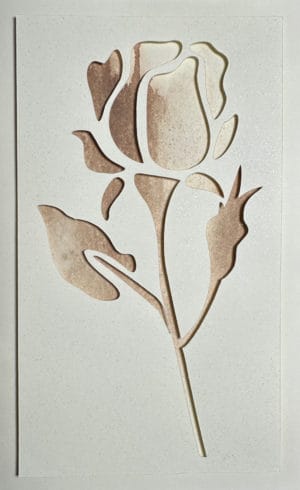 Card #6019